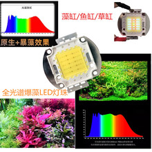 LED�����~�ן�ˮ���������50W100W���~ɺ����COB���@ָ����