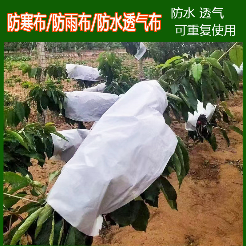农用无纺布果树专用保温膜防寒布可重复使用耐用抗老化防水透气布