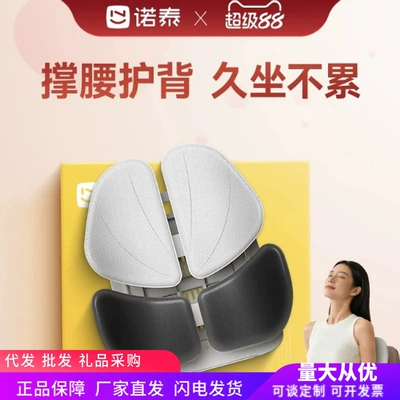 Waist support Cushion Back Pad Lumbar Support