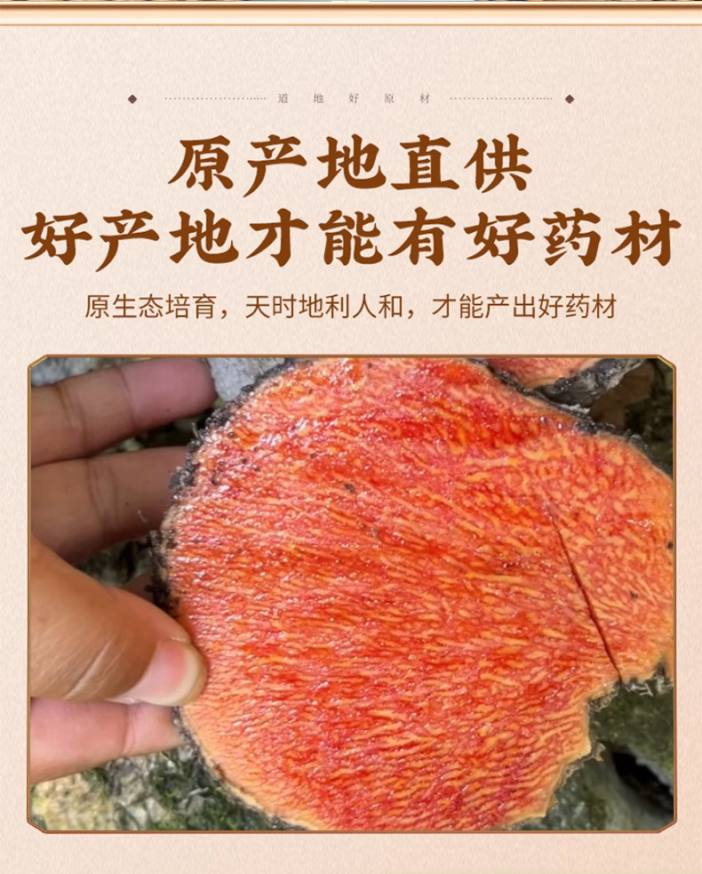Xue San Qi Dried Herb 500g Yunnan New Harvest Sulfur-Free Blood Sanqi for Herbal Wine Infusion key features