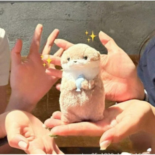 amuse�ɐ�Сˮ�H���~ë�q��ż������жY����N�ͶY�ɐۄ���Y��