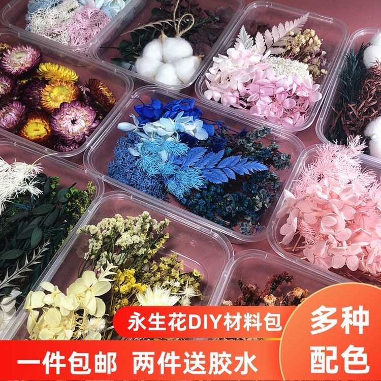 植物材料包DIY相框贴画团扇满天星 团建花朵花艺课手工花料包