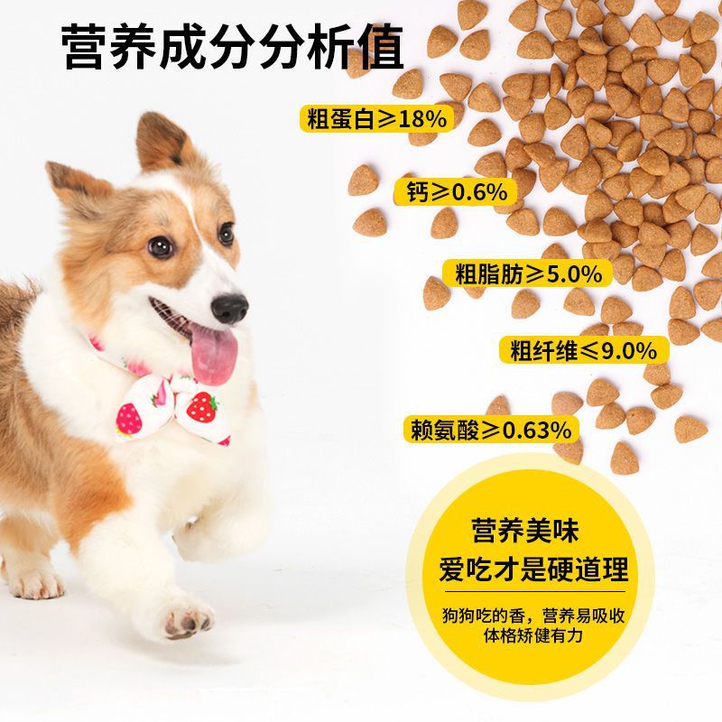 Dog food currency Teddy Golden Retriever Adult Puppies General 5 10 Jin 20 Jin