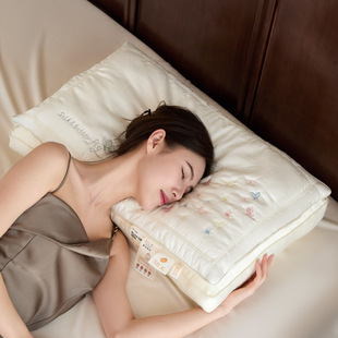 New Double Butterfly Dream Silk Pillow Lyocell Fiber Silk Pillow Core Stereo Double Edge Embroidered Adult Pillow