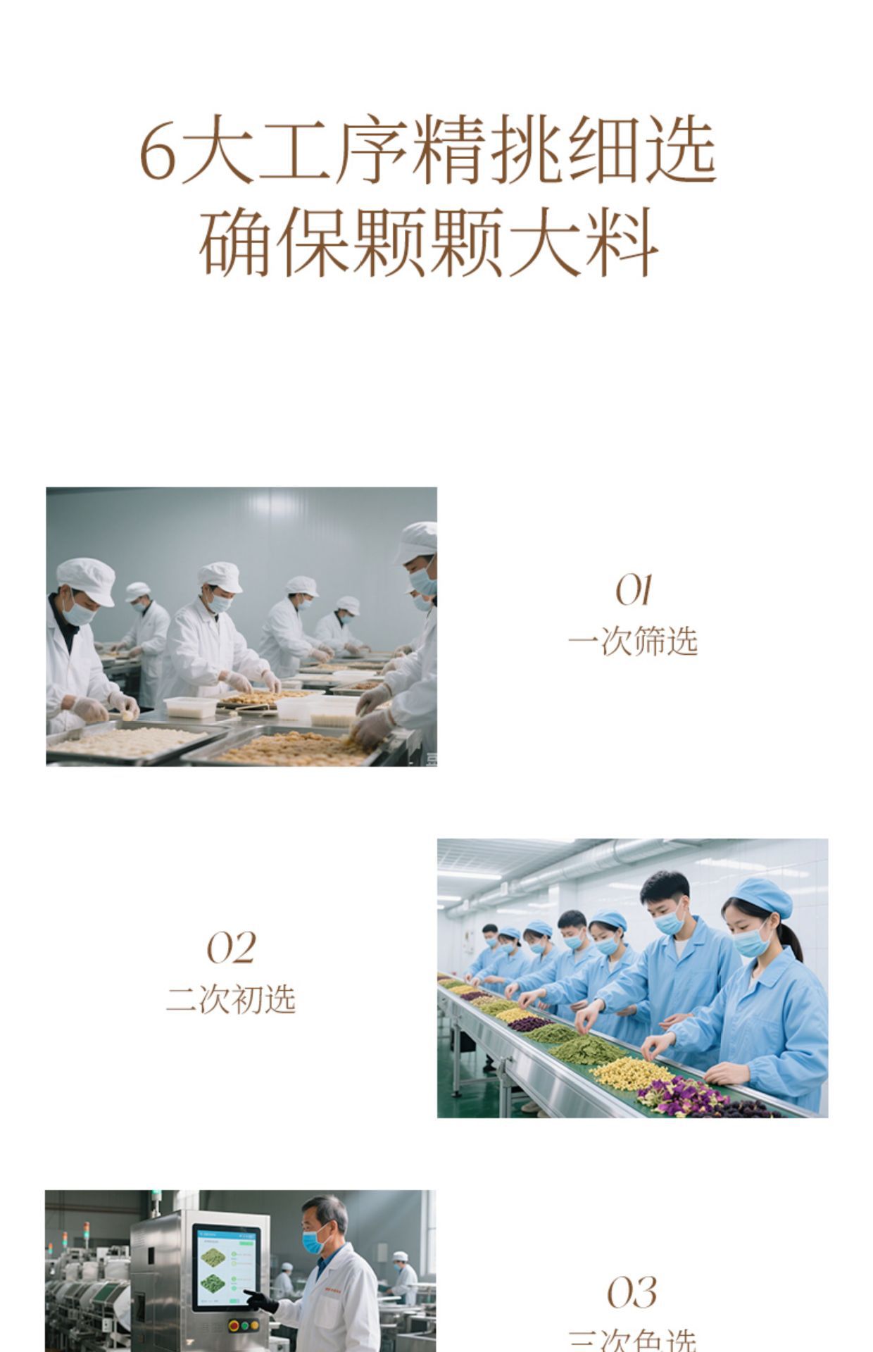 Yuanqi Six Treasure Tea 10g x 10 Bags Astragalus Ophiopogon Codonopsis American Ginseng Daily Wellness Brew quality and texture
