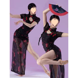 旗袍舞蹈服古典中国舞网纱弹力高开叉高级演出服新款高端改良