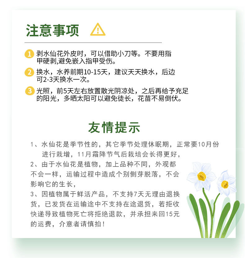 8水仙花详情图_07