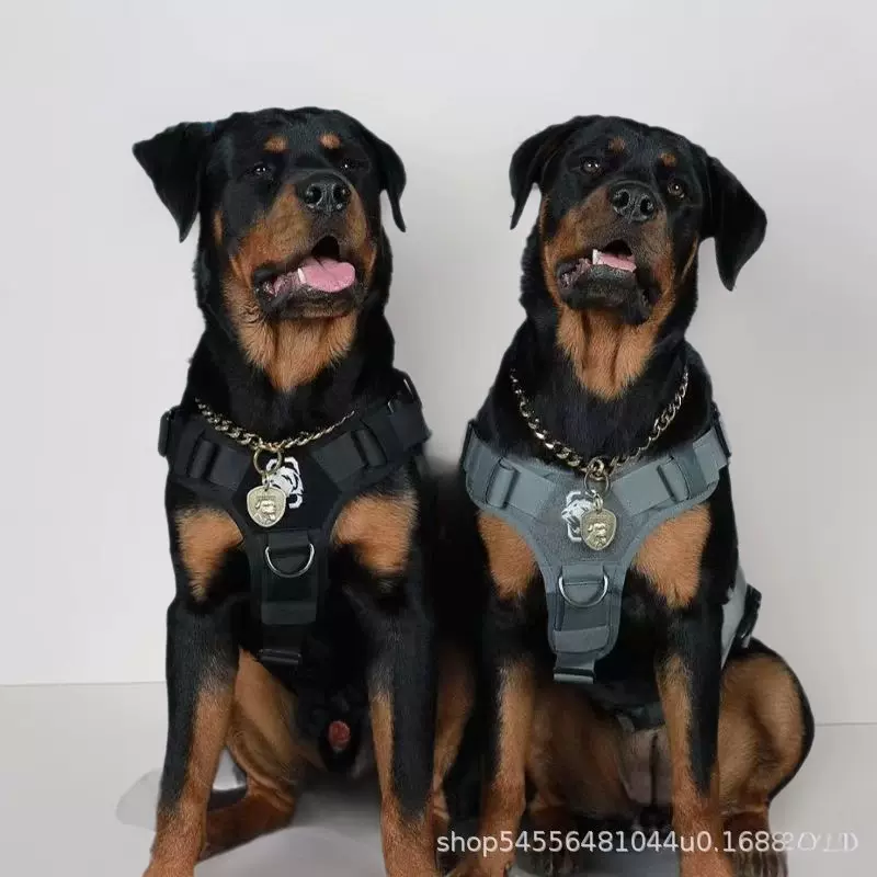 批发定制大型德系罗威纳防暴犬幼犬活体宠物狗狗军警犬幼崽护卫犬