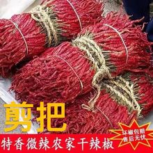 �½��خa΢��������G�l��Ƥ�Ӳ����ĸ����������������������Օ�