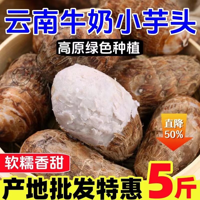 正宗牛奶小芋头新鲜芋头仔现挖毛芋头芋艿农家自种小香芋粉糯