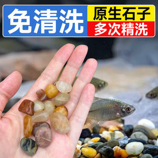 �~���쾰�b�ԭʯͥԺ�~�׻����bڽ�ľ�yʯ�t�uѪʯ��ʾG��ʯ
