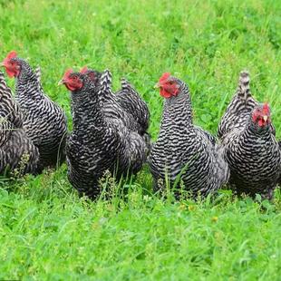 �J���u����w�J���uһ�����Ó���J���u�������Bֳ���������u��