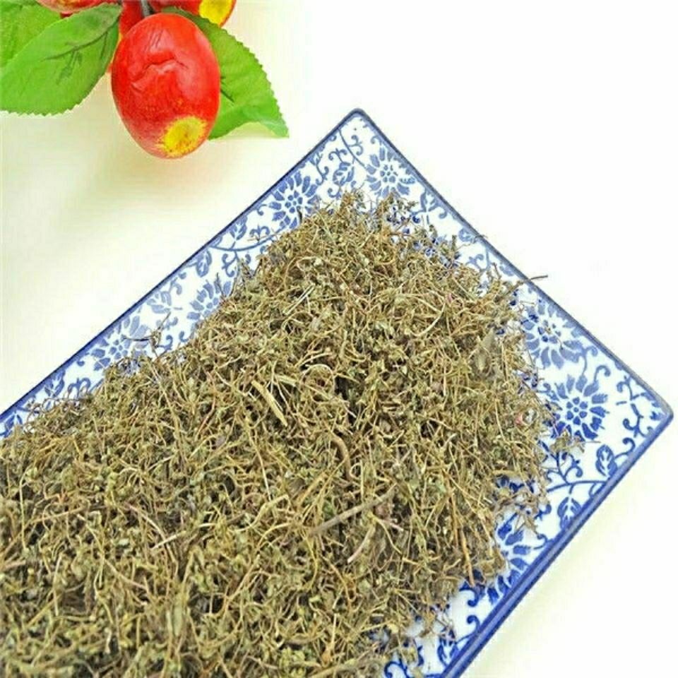 Dried Euphorbia Humifusa Di Jin Cao 500g Sliced Creeping Euphorbia Herb for Traditional Decoctions specifications