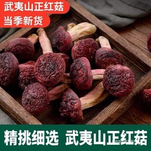 新货武夷山野生小红菇福建特产红椎菌干货红蘑菇小菇蕾群木鲜香菇