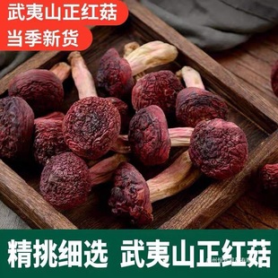 ��؛����ɽҰ��С�t�������خa�t׵����؛�tĢ��С����Ⱥľ�r�㹽