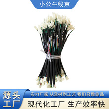 ܇DJ07021-2-11p^zӾӾ늾~