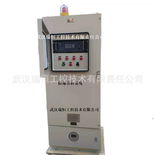 RHNOX-336柜式防爆氮氧化物分析系统 二氧化硫 氧气 武汉瑞恒工控