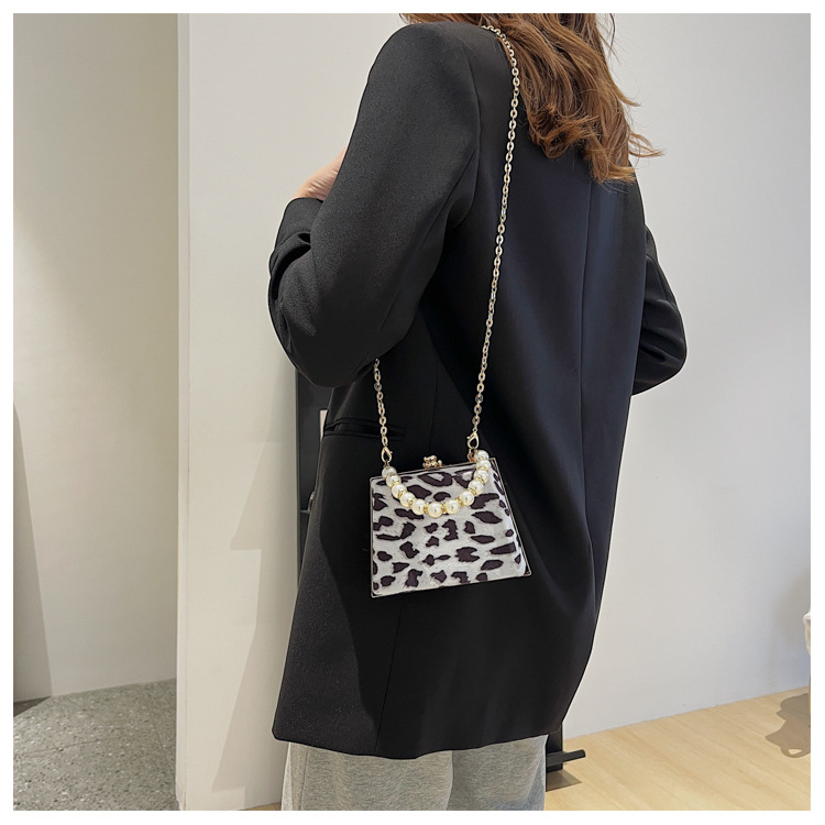 Elegant Bag Women's Bag 2021 Autumn And Winter New Elegant And Generous Fashion Chain Style Cows Pattern Small Square Bag display picture 2