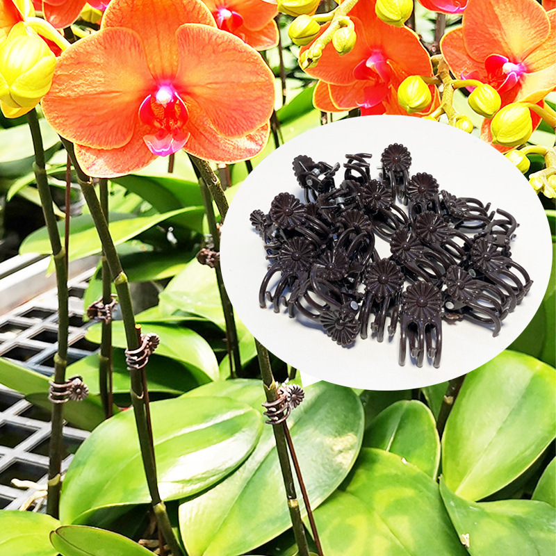水耕植栽バスケット、厚く通気性のある正方形のポット、プラスチック固定バスケット、水槽の鉢植えのポトス蘭の根を制御するための特別な植木鉢|undefined