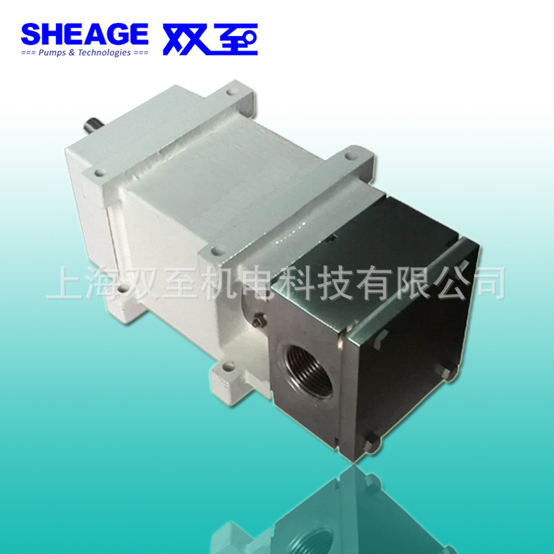 双至SHEAGE S24950-2310V 烟机齿轮泵 糖香料厨房加香泵加料泵