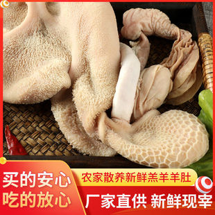 ���s�������������霫����ˮ�������c���l�S�����l