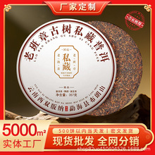 2010������ϰ��¹Ř�˽���ն����������������5���b���lֱ�N