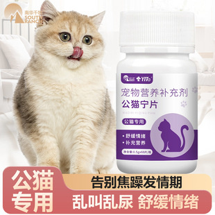 ��؈��Ƭ��؈����ƬҺĸ؈��؈��^������Ƭĸ؈؈��Ƭ