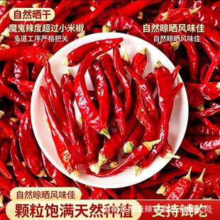 ���� ħ���� ��Ȼ�L�� ������ ���콷 С���� ħ���� ��������