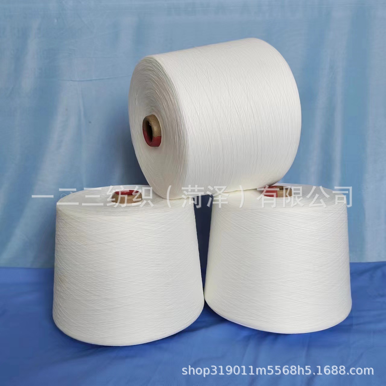 佛山市霞客彩纱有限公司--2025.02.12SLJ