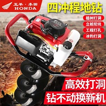 五羊本田四冲程大功率地钻新款挖坑机植树施肥立杆埋桩搭棚打洞机