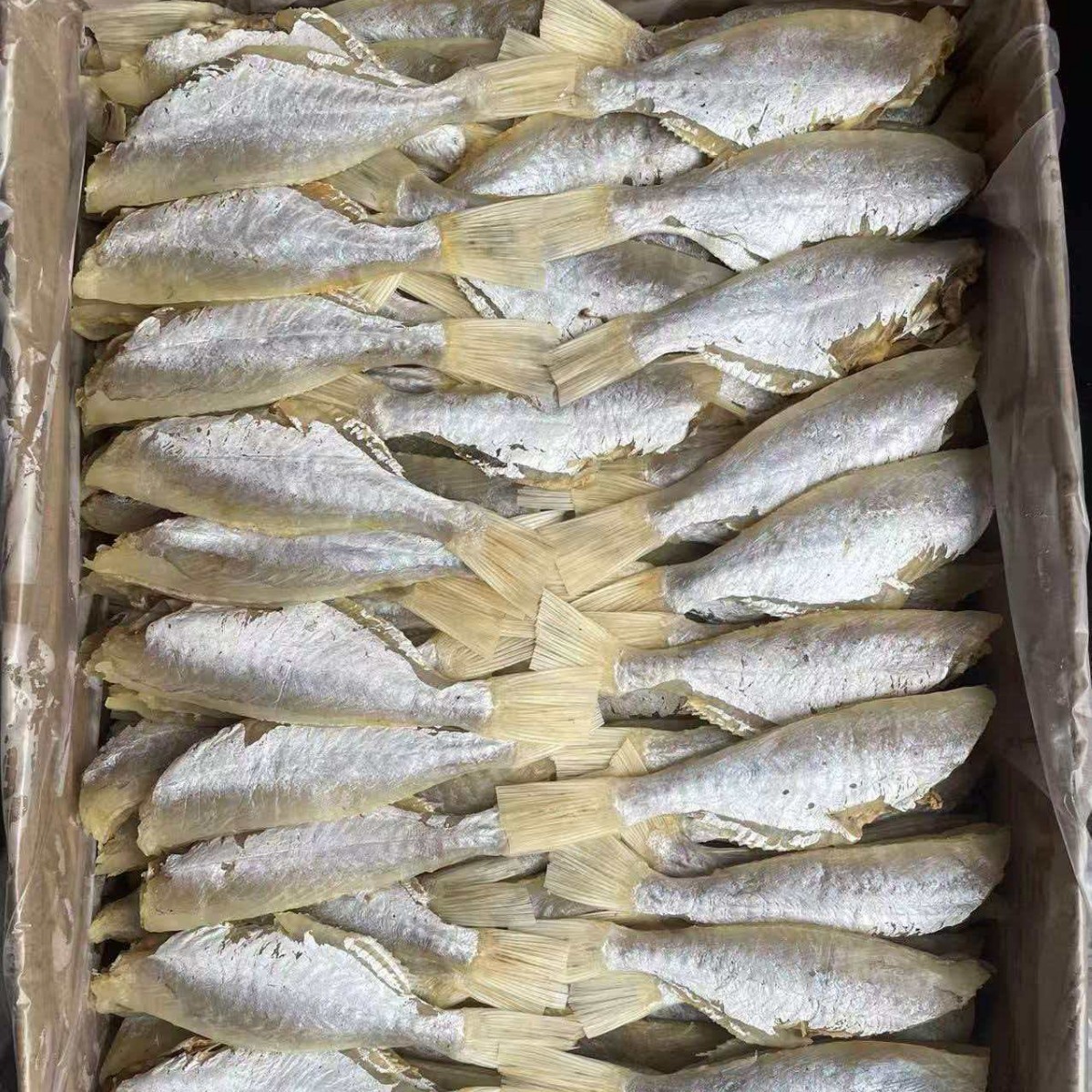 本港目莲肉 目肉 咸鱼鱼干海鲜水产干货