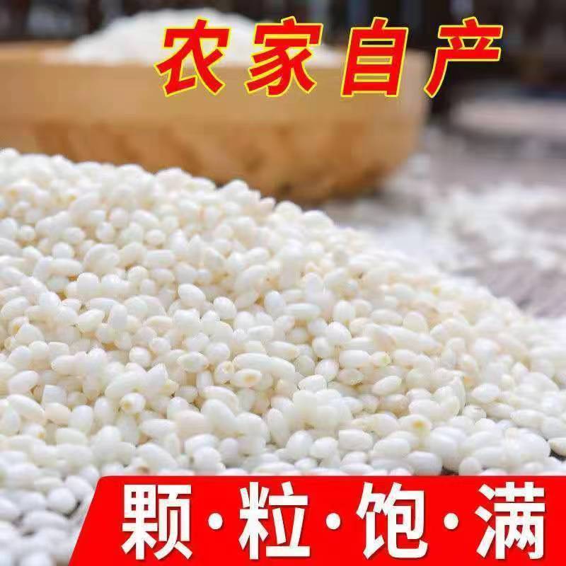 23 東北もち米 季節の新米 東北丸もち米 5kg 新鮮な高品質の香りの良い白もち米 もち米団子|undefined