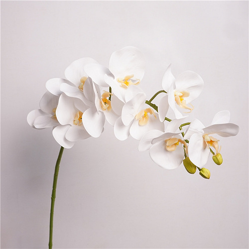 Simulated flower feel orchid soft glue 9-head butterfly orchid home flower arrangement decoration ornaments window landscaping wedding floral art