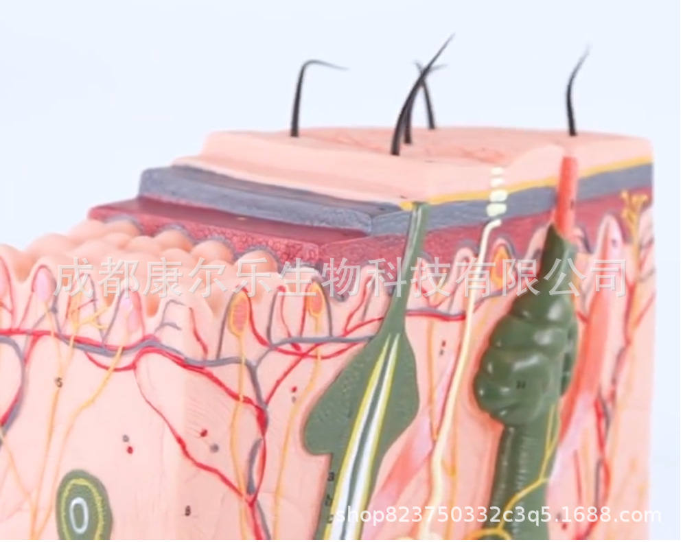 微信图片_20220804162637