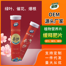 植物缓释片肥料氮磷钾缓控释氮磷钾复合肥家庭园艺种植花卉营养片