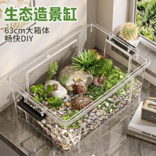 �ڹ��������ش�ż��ô�ɹ̨����̨��̬�쾰���ϴ��Ƿ������ڹ��