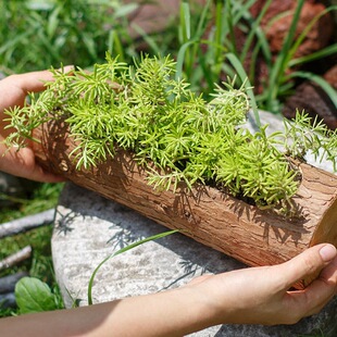 ԭľ���۶��⻨���ֹ�ľ�ۻ��脓���b���Ȼ�[�����@ͥԺ