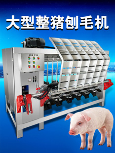 ����ȫ�Ԅ����i��ë�C���i��ë�O����i��ëȥë���i�����O��