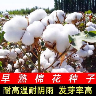 �½��޻��N�Ӹ߮a�Нhǧ��������Nֲ���x�����߿��ز�Нh�޻���