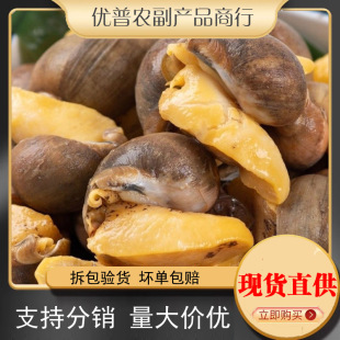 �����_���r����U�������_��̖���S�U�~�ݺ��rˮ�a�S���U�������l