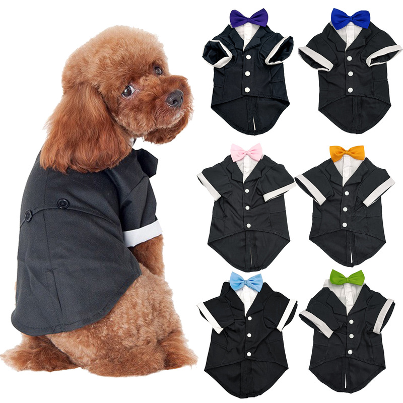 Dog Clothes Autumn and Winter Dog Winter Clothing Teddy Clothes Golden-retriever Samo Autumn and Winter Pet Suit Dog Clothes Autumn and Winter Dog Winter Clothing Teddy Clothes Golden-retriever Samo Autumn and Winter Pet Suit