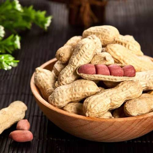 Childhood Notes Changbai Mountain Salted Dried Peanuts 500 Individual Small Packages Hardcover Large Package Red Skin Cooked Peanuts Roasted Seeds Wholesale