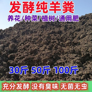 ���ɼ���S�l���ЙC���ϷN���r�����B�������߲˹���I�B���ɷ���