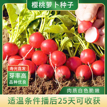 }NѷNС}˷Nˮˮ}ļ̨r߲