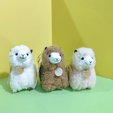 �¿�����ë�q�����Ʒ耳׿۰�����������ζС�����l���