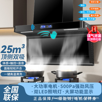 House Range Hood Suisco