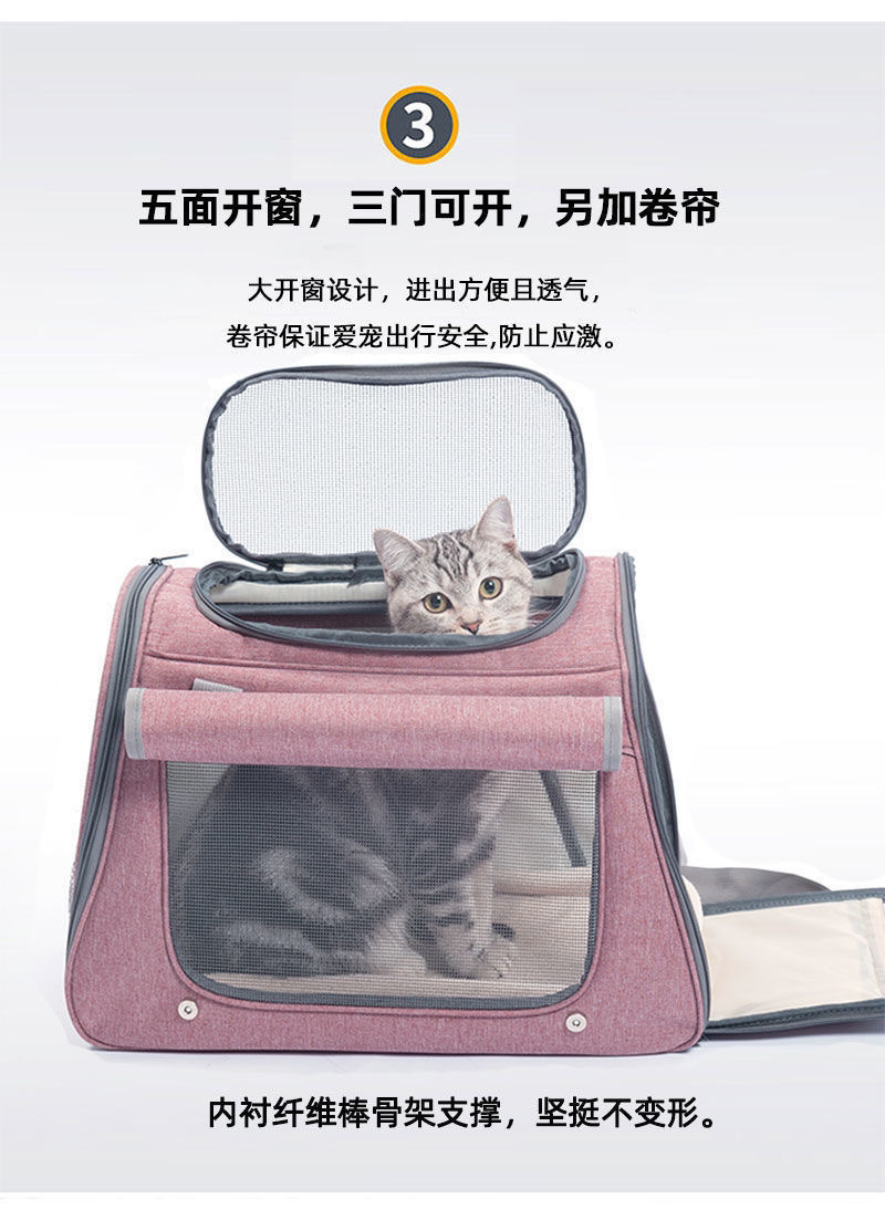 6e56663c-f85a-41a9-b418-91b6fff74945.jpe