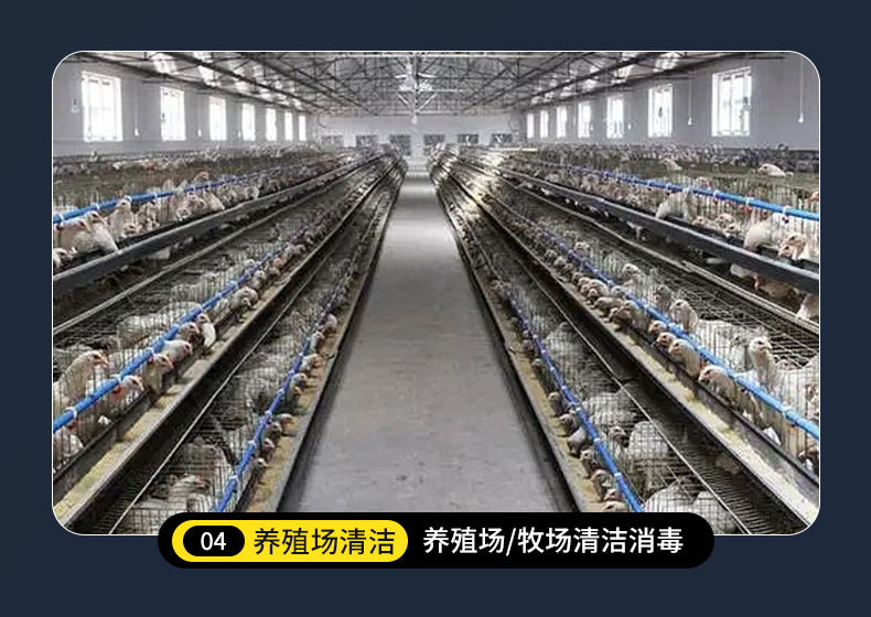 清洗机常规3_13