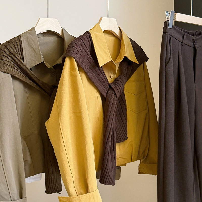 Korean-style color-blocked long-sleeved shirt for women, autumn new collection, relaxed fit, petite size, elegant and versatile, short top Korean-style color-blocked long-sleeved shirt for women, autumn new collection, relaxed fit, petite size, elegant and versatile, short top