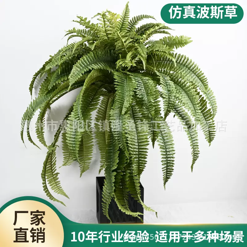 跨境仿真蕨类绿植人造波士顿蕨叶家居装饰仿真波斯草挂墙绿植摆件